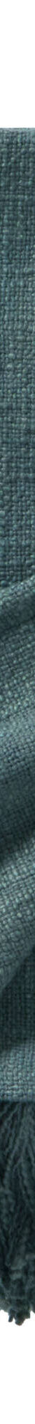 Effen plaid in getextureerd katoen (eucalyptus) Effen plaid in getextureerd katoen (eucalyptus)